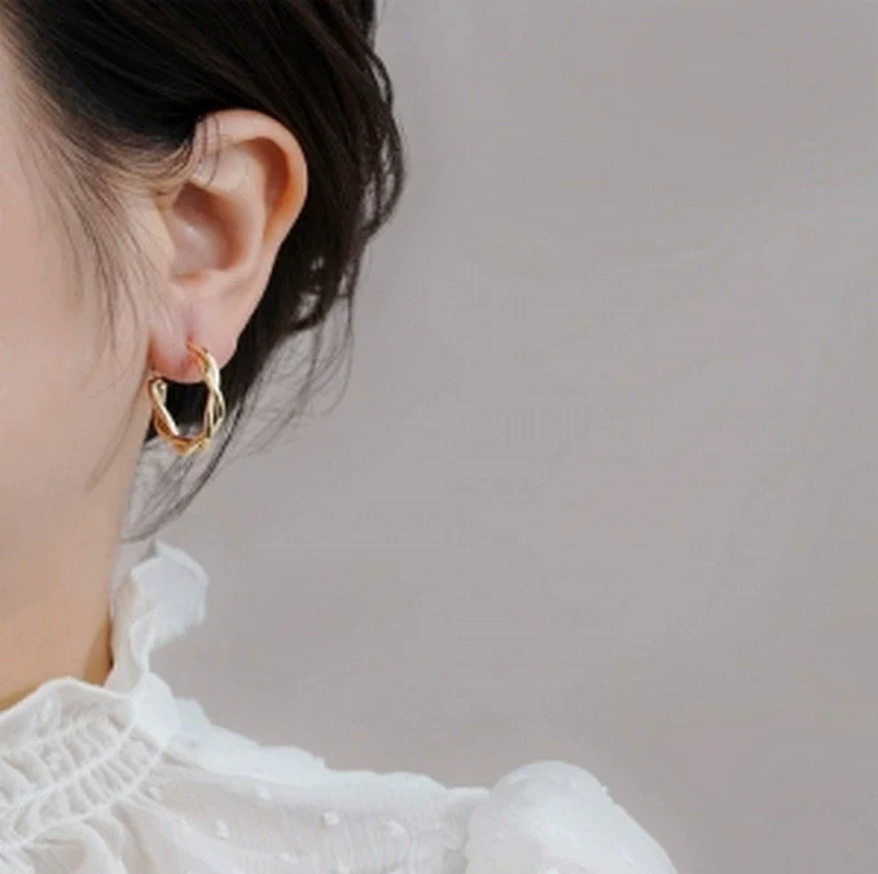 Alloy Geometric Light Luxury Electroplated Women's Earrings - Image 3