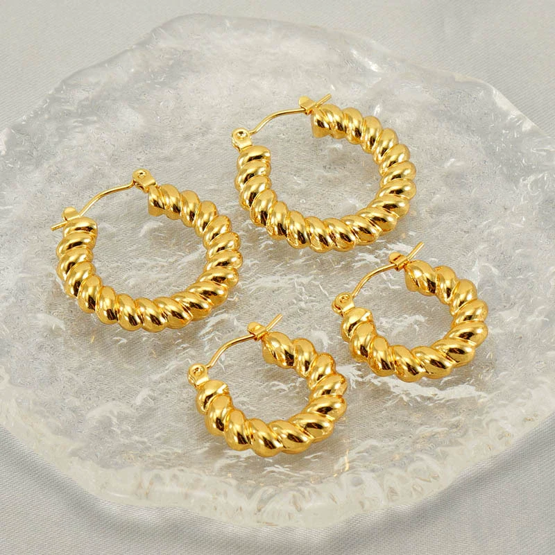 316L Stainless Steel Geometric Twisted Spiral Pattern Electroplated Women's Earrings - Image 3