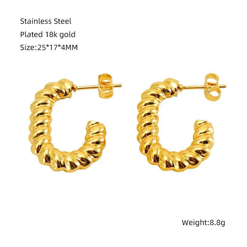 316L Stainless Steel Geometric Twisted Spiral Pattern Electroplated Women's Earrings - Image 6