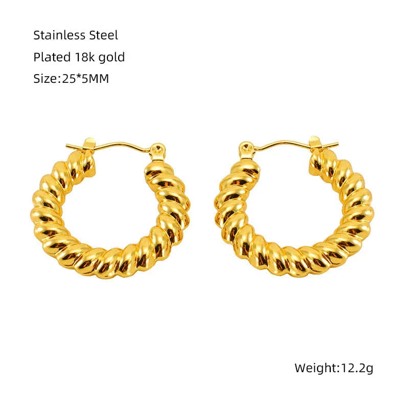 316L Stainless Steel Geometric Twisted Spiral Pattern Electroplated Women's Earrings - Image 7