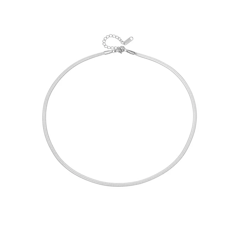 Titanium Steel Snake Bone Chain Necklace Women's Geometric Electroplated Simple Style Light Luxury Accessories - Image 7