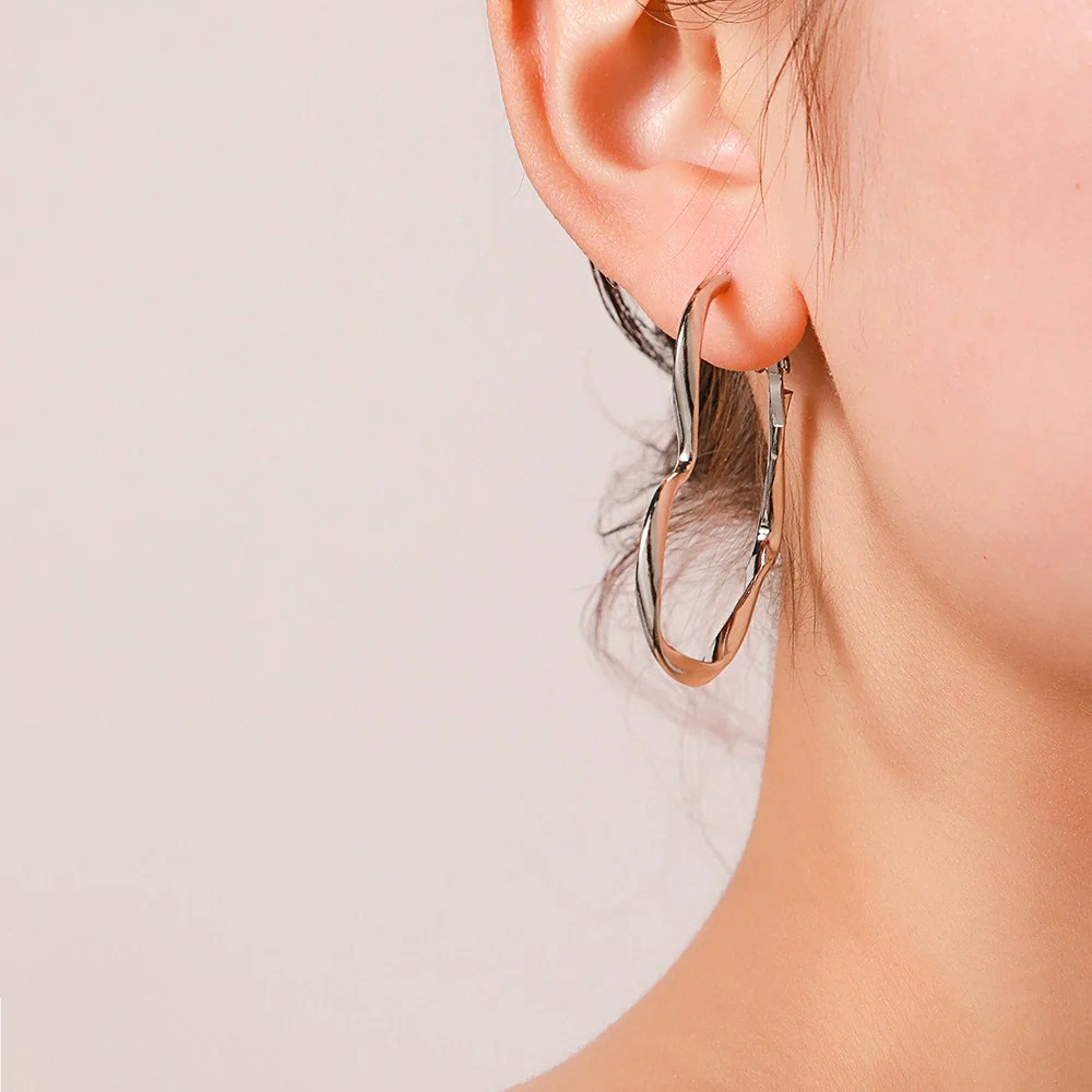Wholesale Alloy Geometric Irregular Electroplated Women's Earrings Jewelry - Image 4