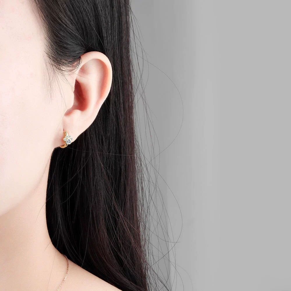 Wholesale Copper Cat Claw Diamond Women's Earrings Cute Style - Image 2