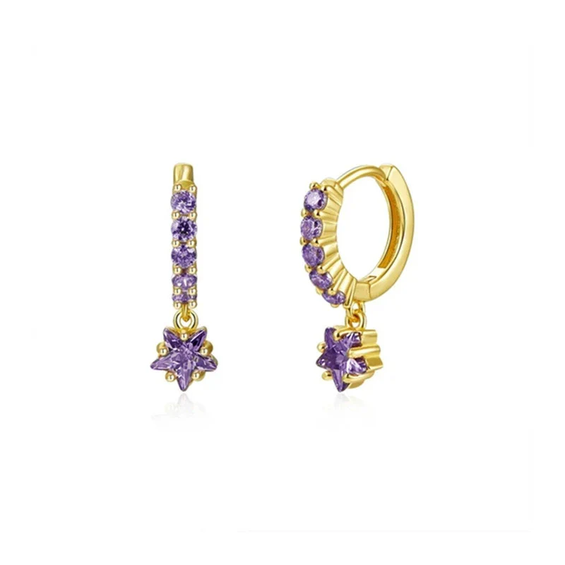 Wholesale Earrings Silver Needle Copper Star Zircon Retro Geometric Style - Image 5