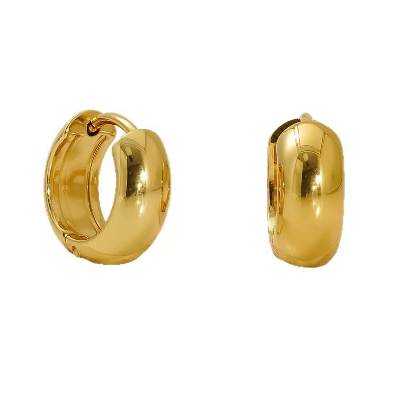 Wholesale Fashion Allmatch Geometric 316L Stainless Steel Electroplated Earrings For Women - Image 5