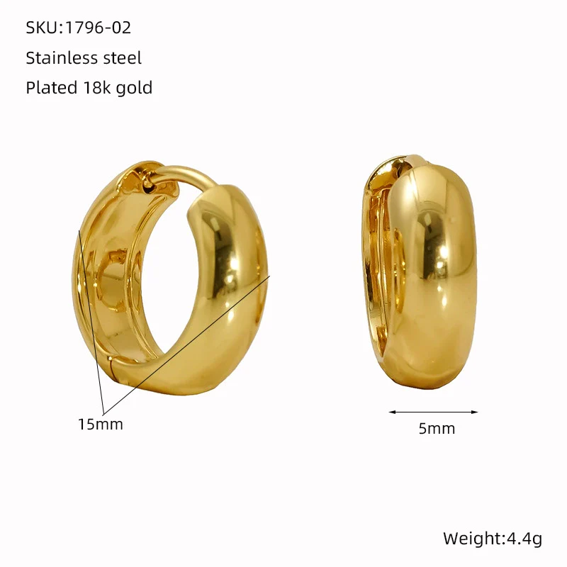 Wholesale Fashion Allmatch Geometric 316L Stainless Steel Electroplated Earrings For Women - Image 7