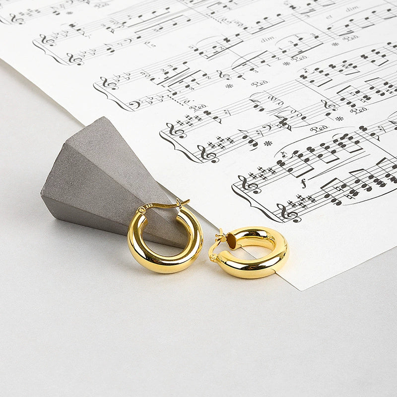 Wholesale S925 Sterling Silver Geometric Minimalist Electroplated Women's Earrings - Image 7