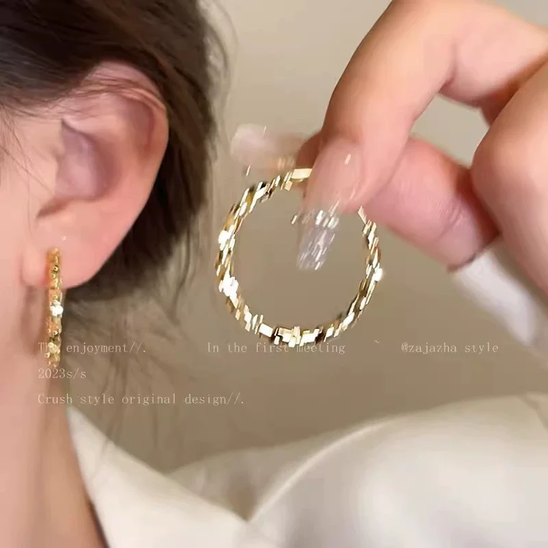 Wholesale Women's Alloy Geometric Hoop Earrings With 925 Silver Needle And Electroplating - Image 20