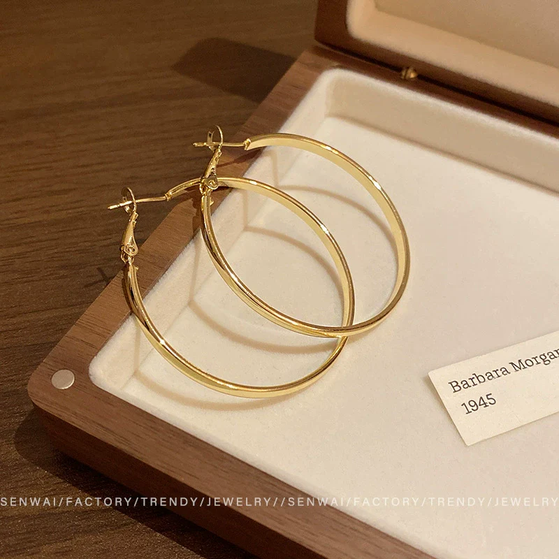Wholesale Women's Alloy Geometric Round Plain Hoop Earrings With Electroplating - Image 6