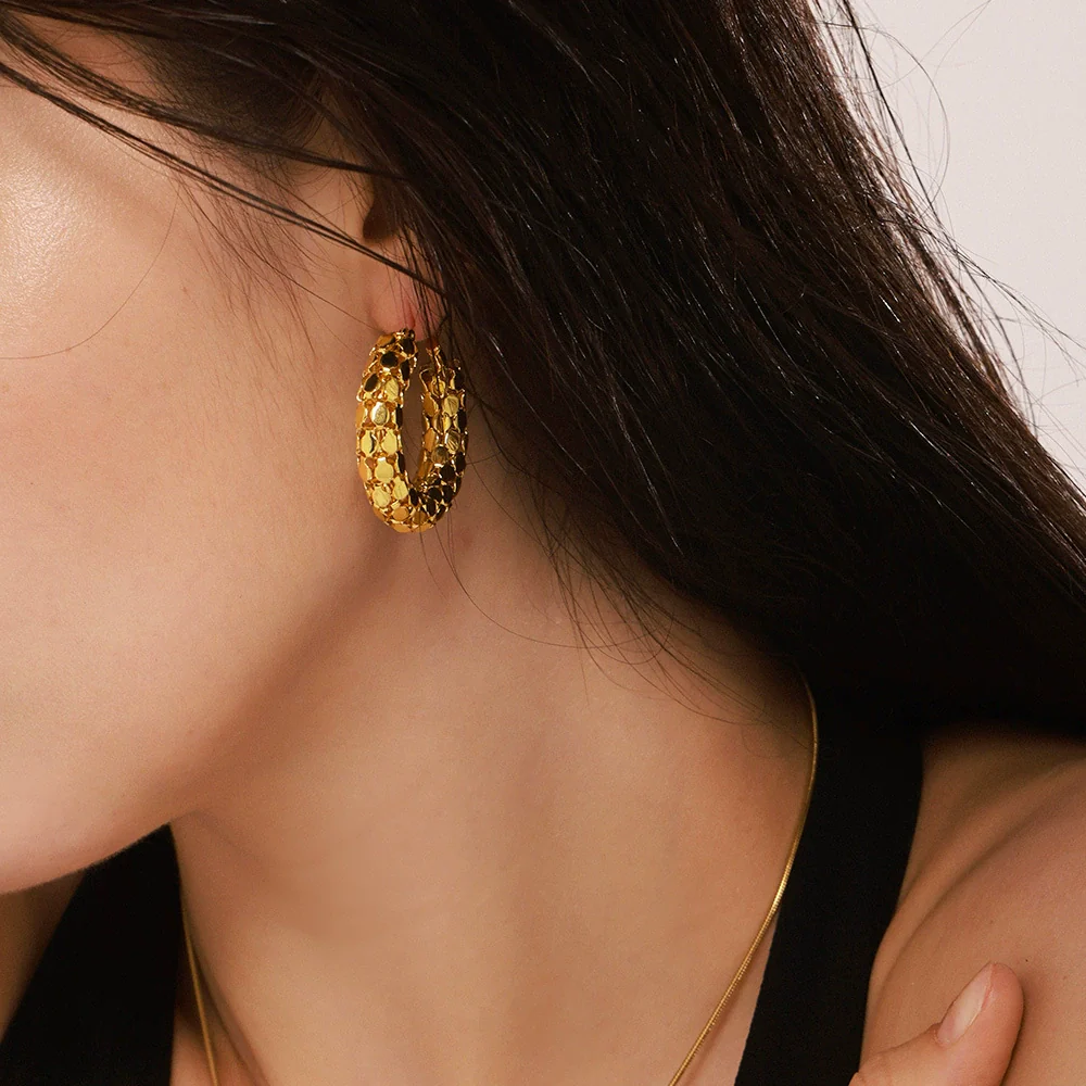 Wholesale Women's Fashion Geometric Round Fish Scale Hollow Stitching Titanium Steel Electroplated 18K Gold Earrings - Image 3