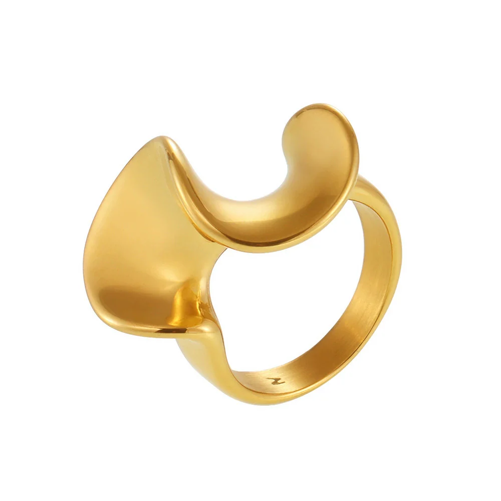 Wholesale Women's Light Luxury Geometric Sshaped Stainless Steel Electroplated Ferris Wheel Ring - Image 5