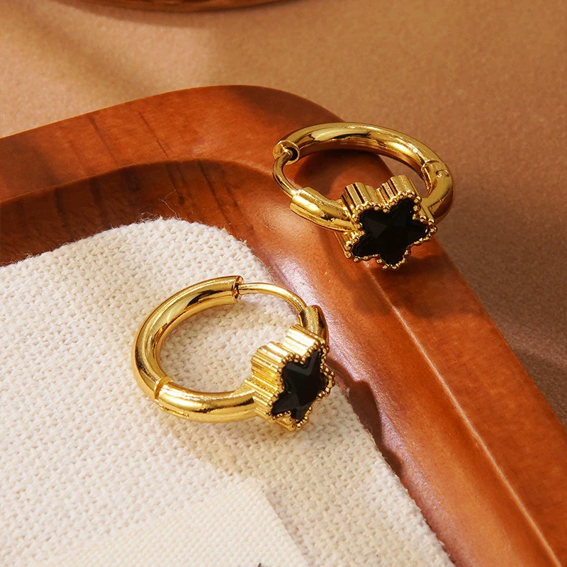Wholesale Women's Minimalist Star Shape Stainless Steel Electroplated Earrings - Image 3