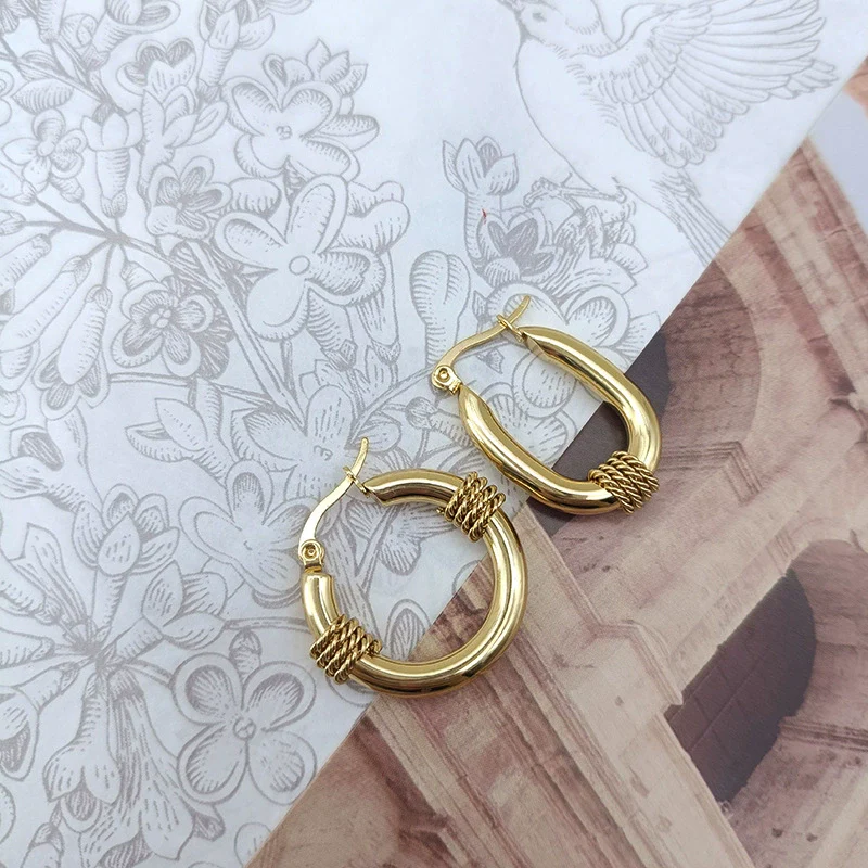 Wholesale Women's Titanium Steel Geometric Earrings Electroplated Light Luxury Antiallergic Nonfading - Image 4