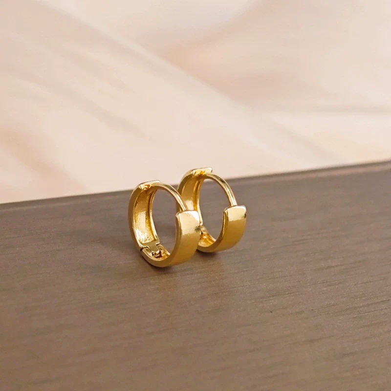 Wholesale Women's Zinc Alloy Light Luxury Style Electroplated Earrings - Image 5