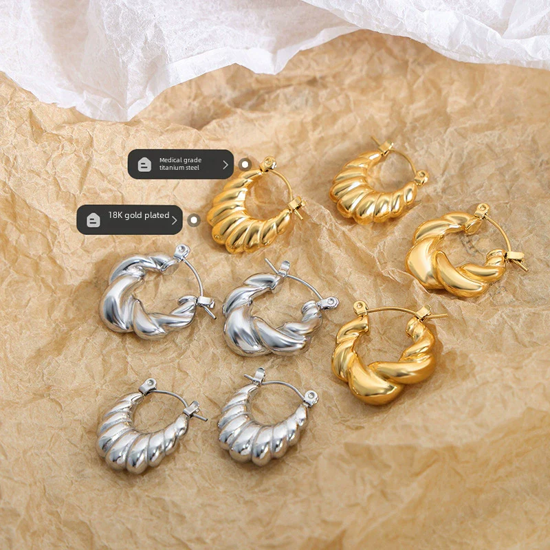 Women's Titanium Steel Irregular Geometric Electroplated Earrings