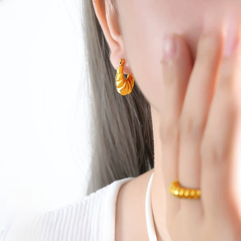 Women's Titanium Steel Irregular Geometric Electroplated Earrings - Image 2