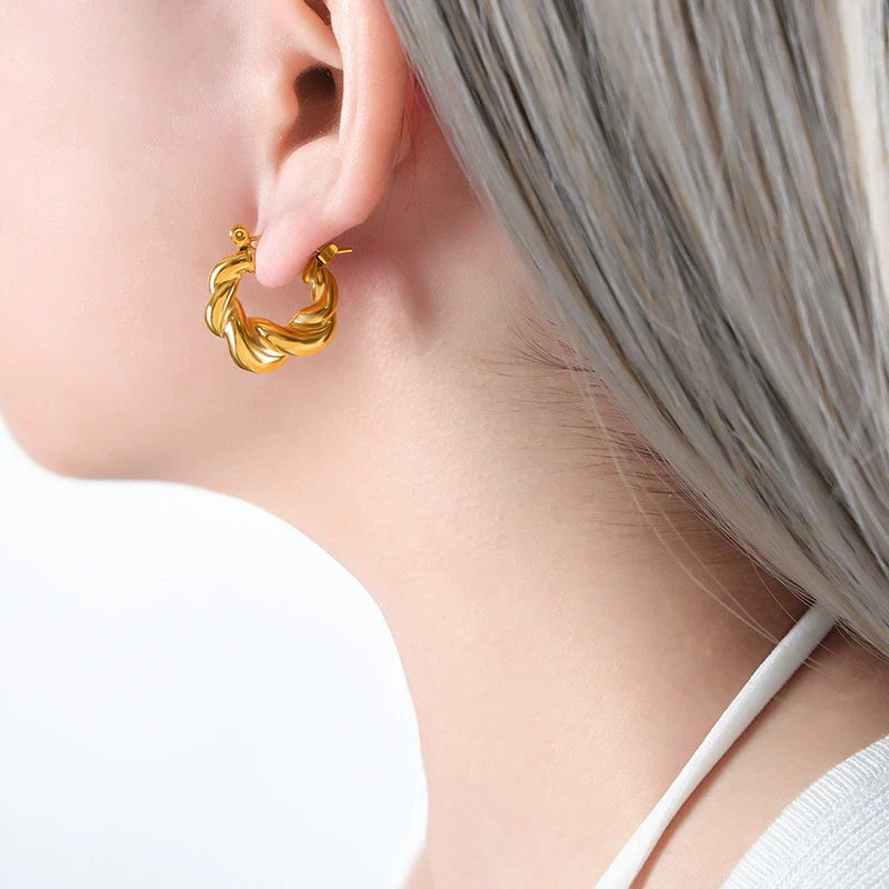 Women's Titanium Steel Irregular Geometric Electroplated Earrings - Image 6